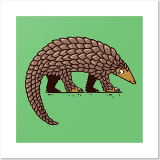 Pangolin Illustration Posters and Art